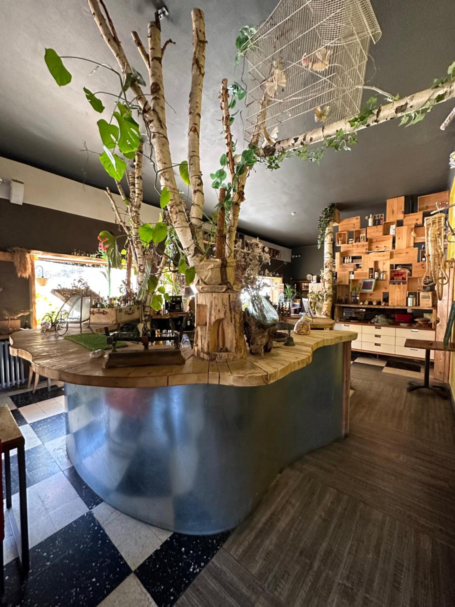 Hotel Green Ecolodge لا كولميان المظهر الخارجي الصورة